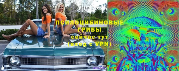 apvp Осташков