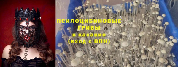 apvp Осташков